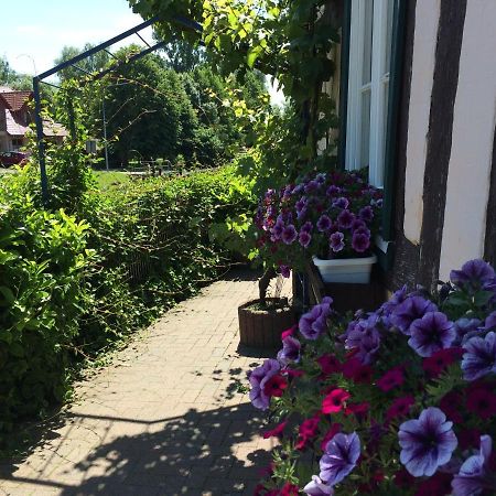 Appartements an der Schleuse Lübz Extérieur photo